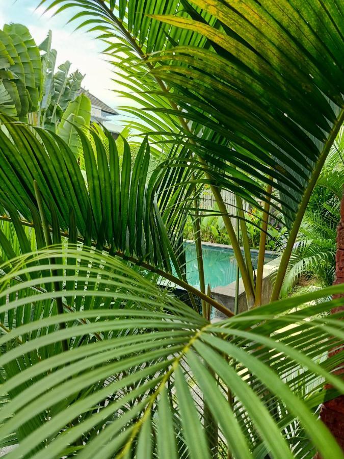 Отель Wayan Garden Убуд Экстерьер фото